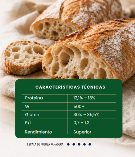 Pan Focaccia - Harina Súper 500