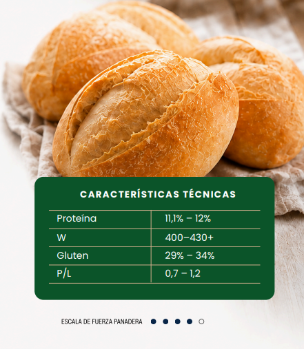 Pan Ciabatta - Harina Súper