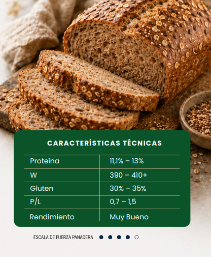 Panes Integrales Premium - Harina Wholegrain